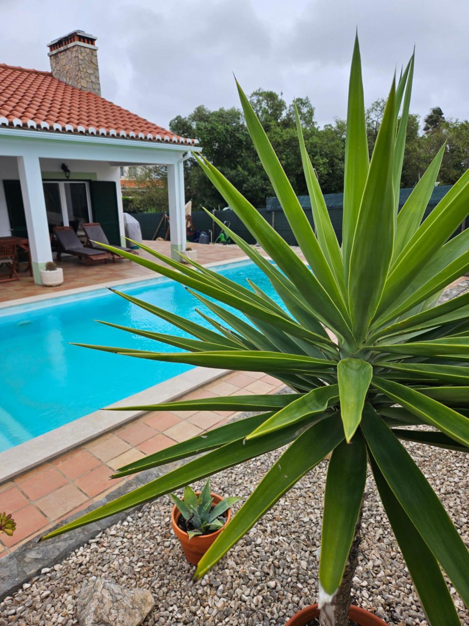 אלג'זור Casa Delbon Guest House מראה חיצוני תמונה