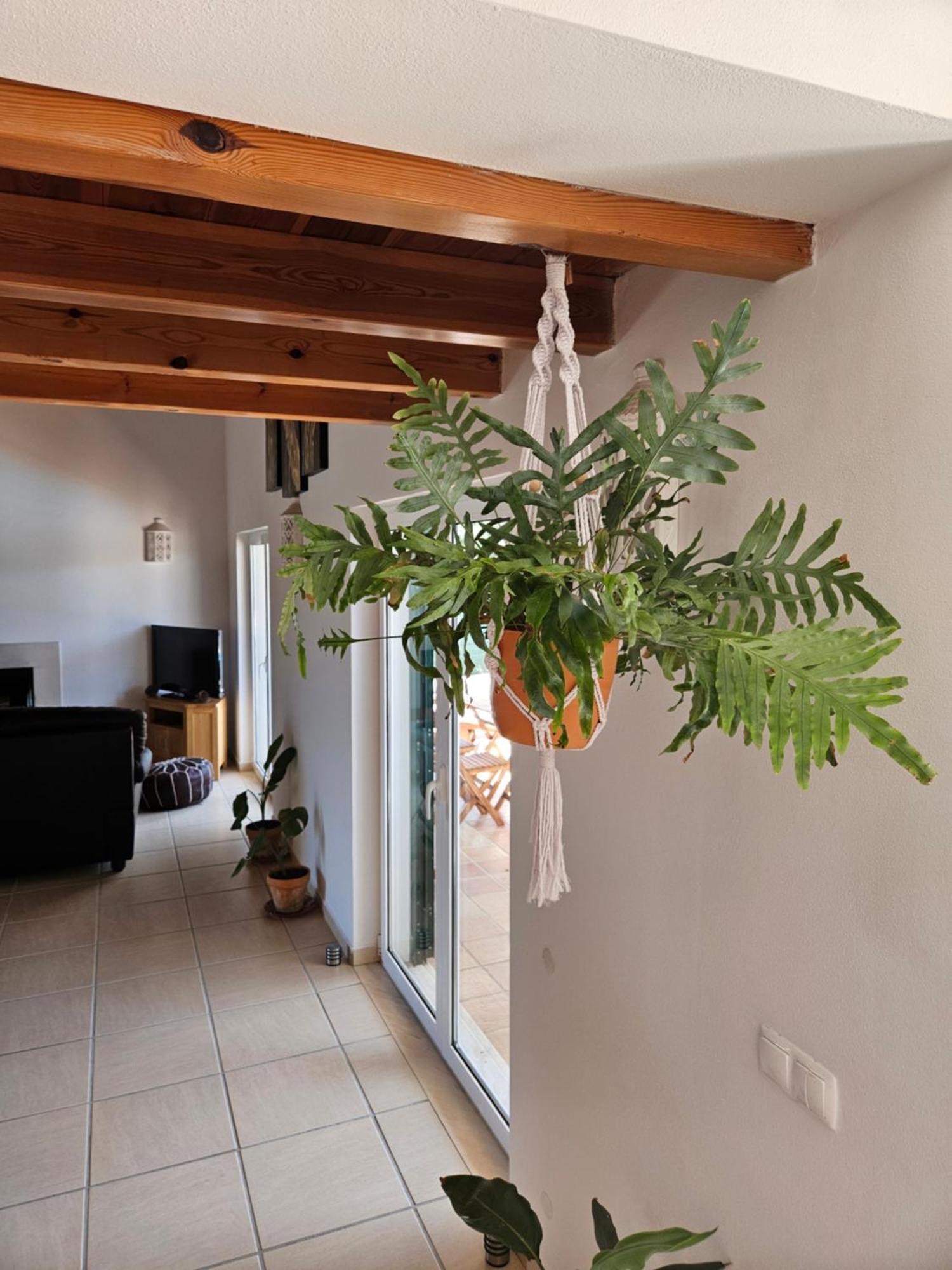 אלג'זור Casa Delbon Guest House מראה חיצוני תמונה